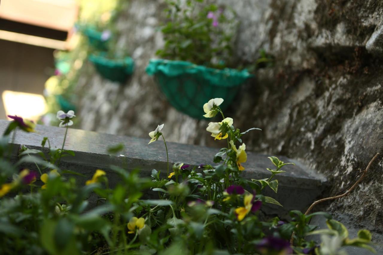 Hotel Devlok Primal Mussoorie Zewnętrze zdjęcie